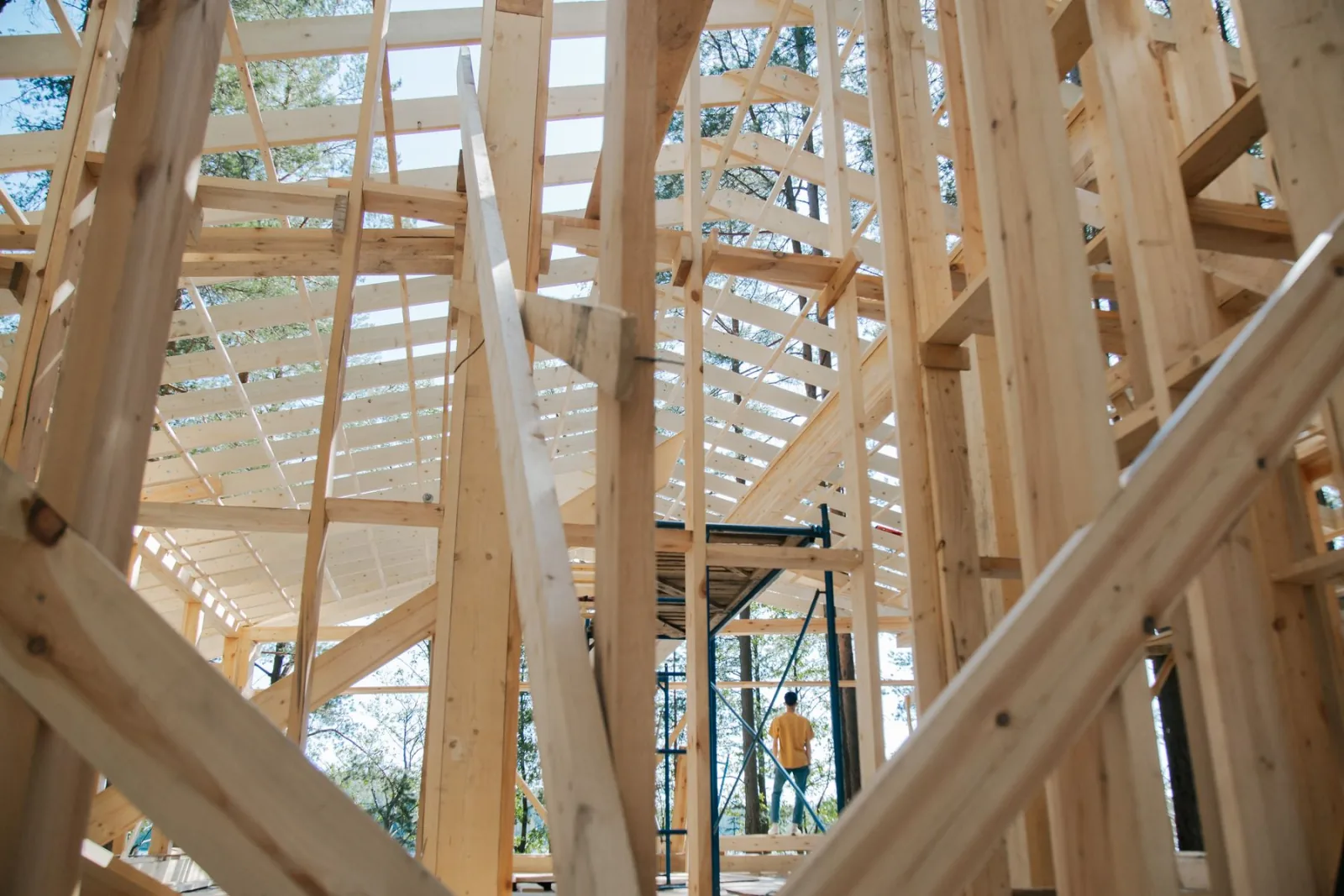 Timber roof trusses seen from below.